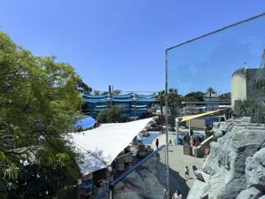 Aquarium Of The Pacific   Cafe Scuba Patio